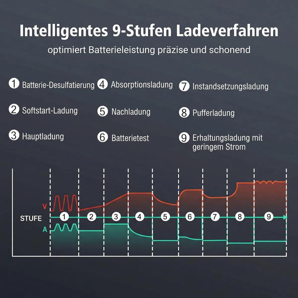 Batterie Ladegerät 6V 12V 24V 30A Reparaturmodus Erhaltungsladung | BaSBa | für Auto Motorrad Wohnmobil und AGM GEL EFB LiFePO4 Blei Säure Batterien